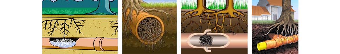 gyökérbenövés, csapadékvíz csatorna duguláselhárítás